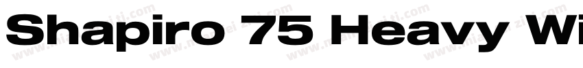 Shapiro 75 Heavy Wide字体转换